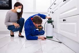 Best Fumigation Services  in Baxter Estates, NY